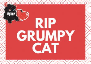 RIP ‘Grumpy Cat’