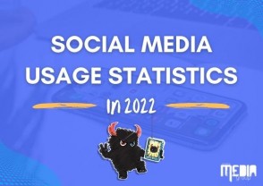 Social media usage statistics in 2022