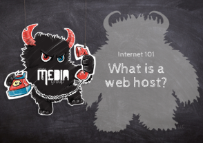 What is a web host?