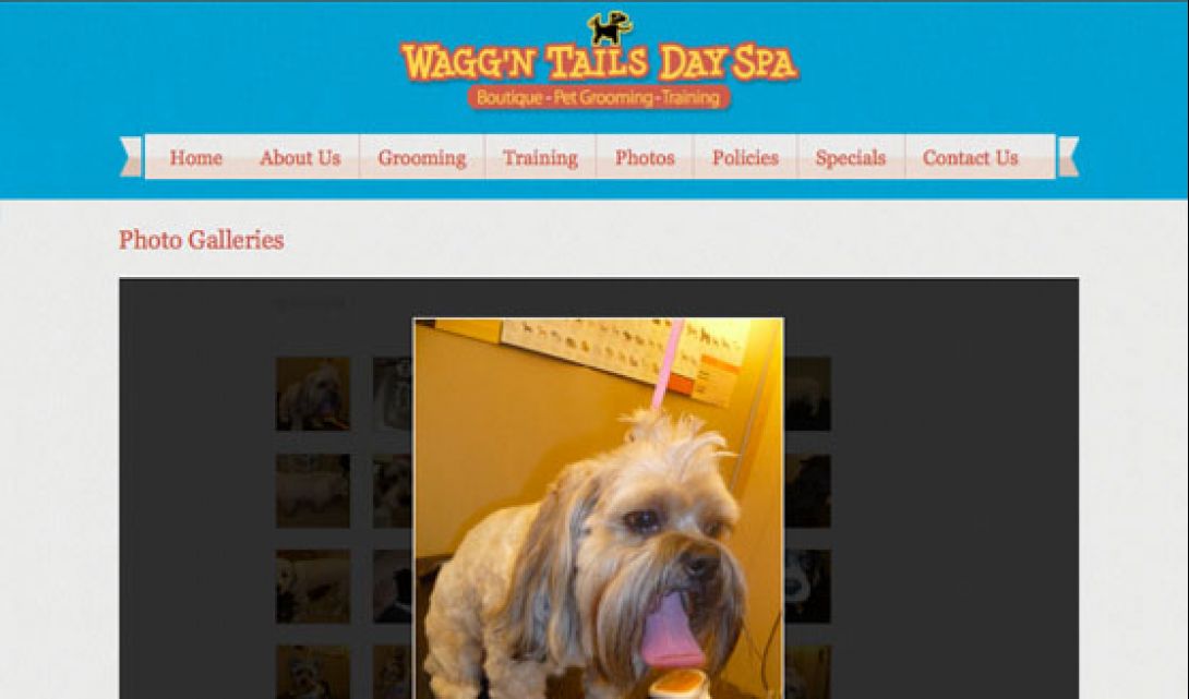 Wagg’n Tails Day Spa - 6